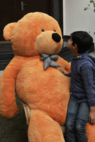 Teddy bear best gift and stuff toys 