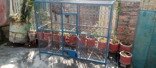 Bird's Cage
