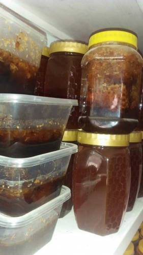 Sila Organic pure Honey 