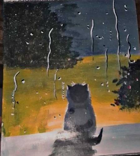 cat and rainy seoson