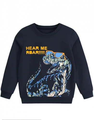 sweat shirt Free delivery 