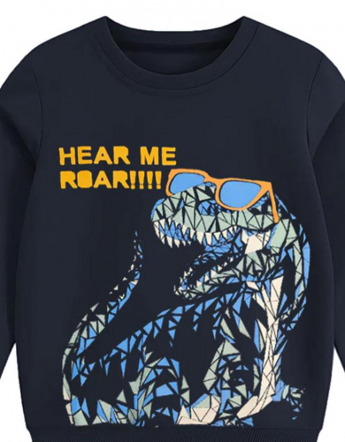 sweat shirt Free delivery 