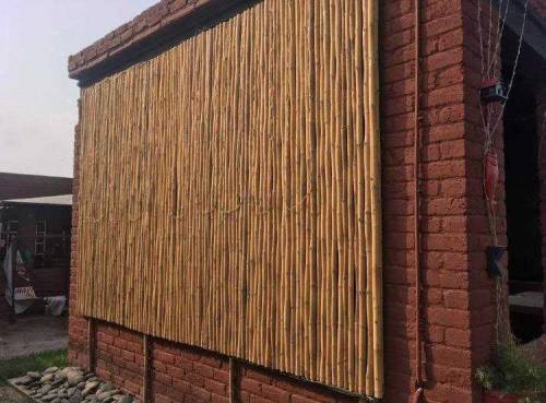 bamboo wall covering fance 