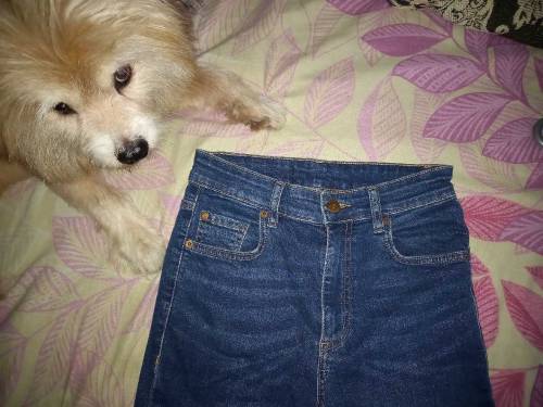 Slim Fit Blue Jeans for Women - LIMELIGHT