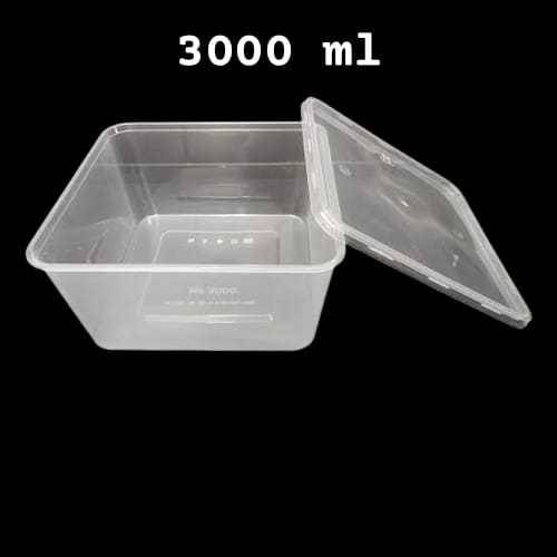 Disposable Plastic boxes 