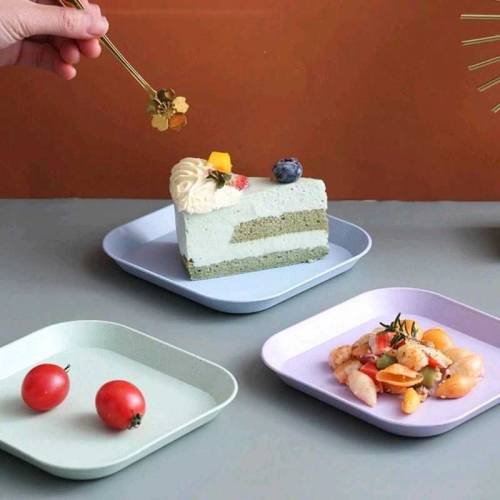 Plastic plate set_Now 