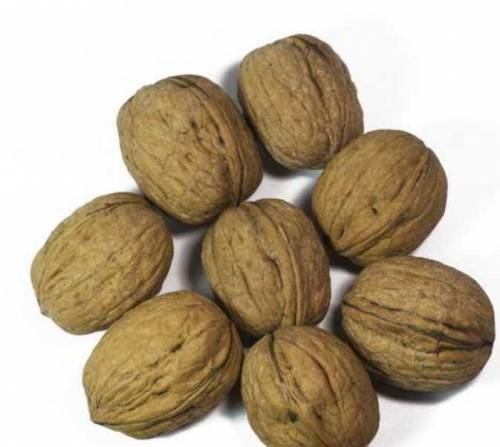 gilgitbaltistan dry fruit 
