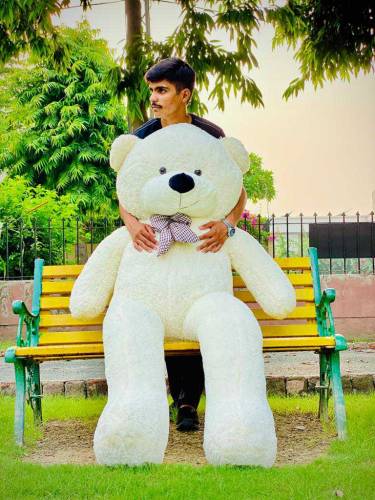 Teddy bear best gift for weeding or birthday 