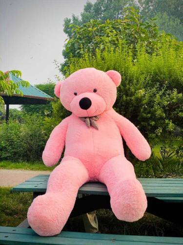 Teddy bear best gift for weeding or birthday 