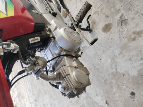 bike sale prachse