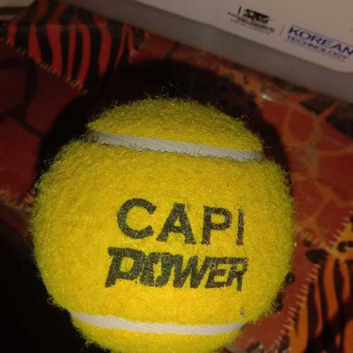 CRICKET BALL CAPI POWER 💪
