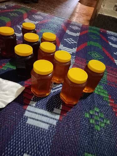 Saad Hussain