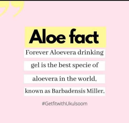 Aloevera GelEnergy booster Skin brightenerMood refresherWeight manager