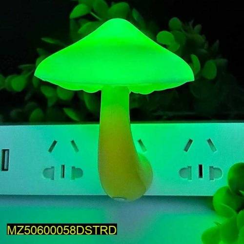 color mushroom 🍄 lights 