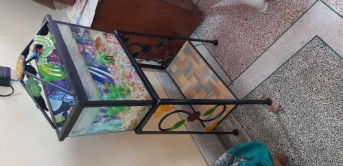 fish aquarium 