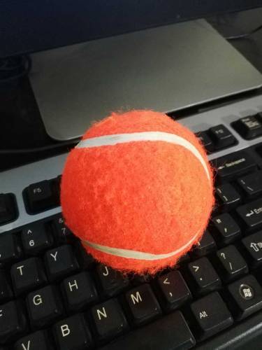 pure vality rubber ball