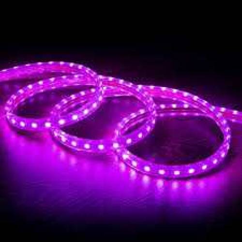 RGB STRIPS LIGHT ON SALE