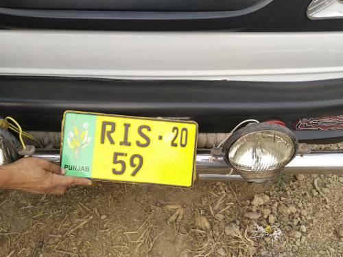 Ravi for sale