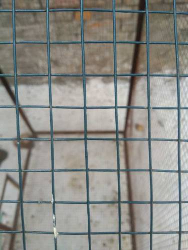 cage for sale 