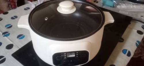 Malaysian brand electric tuch system Handi