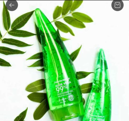 Aloe vera