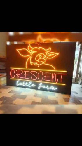flexible neon sign 