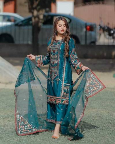organza fancy dress