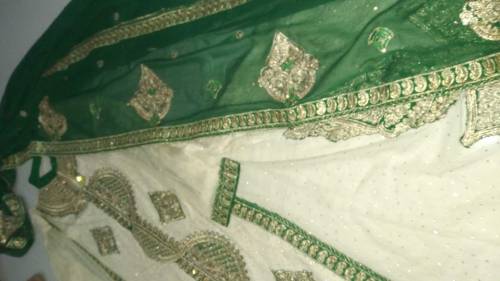 Net long frock combination of green and white
