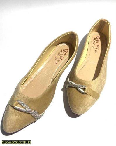Fancy Women's Shoes 