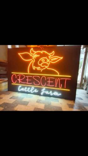 flexible neon sign