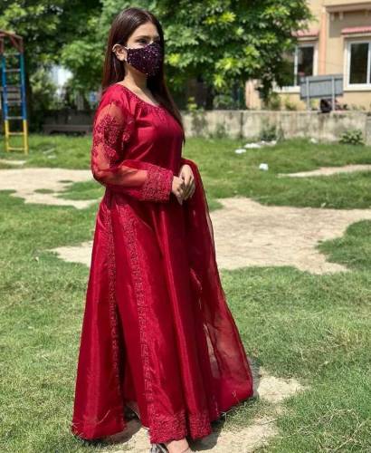 fancy embroidery organza frock 