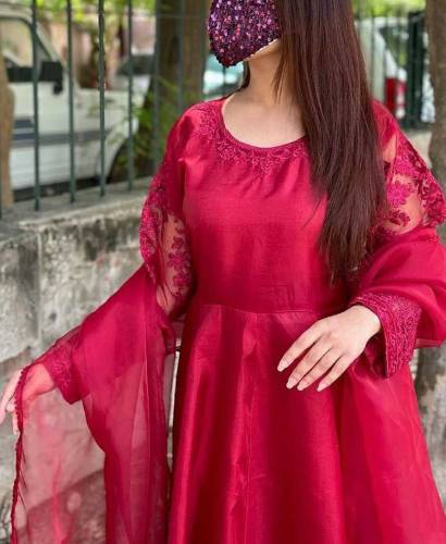 fancy embroidery organza frock 