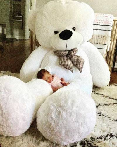 Teddy bear best gift for new weeding or birthday 