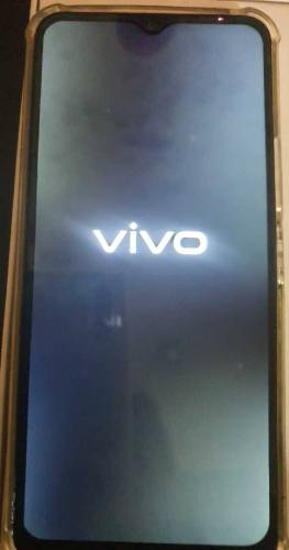 vivo y 21