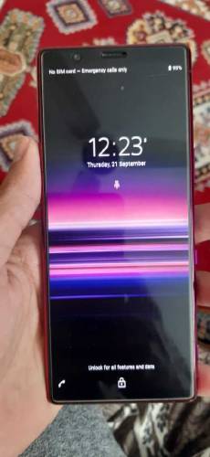 Sony Xperia 5 Screen and Body