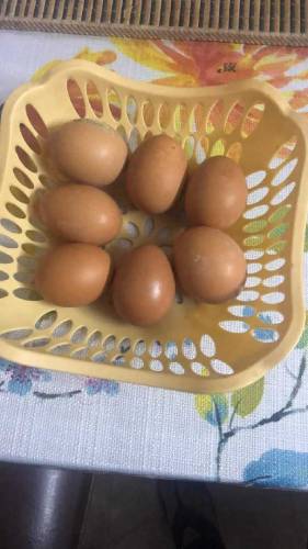 Desi egg available 