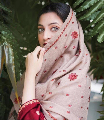 3 Pcs Women's Unstitched Dhanak Embroidered Suit