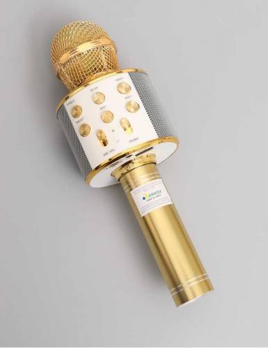 Microphone Professional Speaker