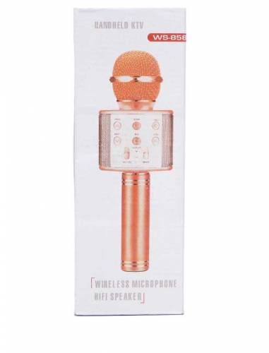 Microphone Professional Speaker