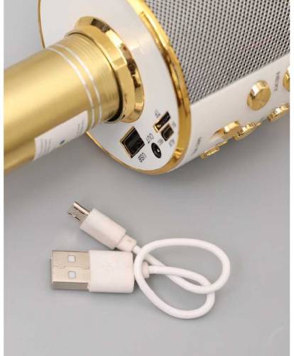 Microphone Professional Speaker
