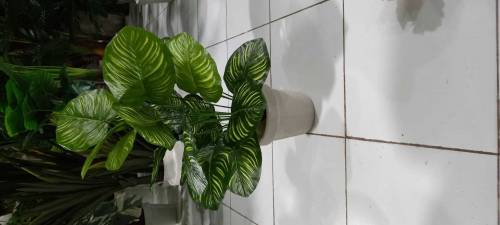 Home decorations
