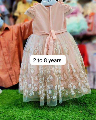 2 Pcs Girl's Stitched Net Frock Suit
