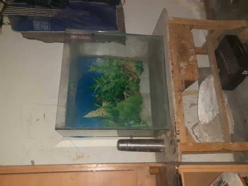 aquarium  empty  large size for sale 