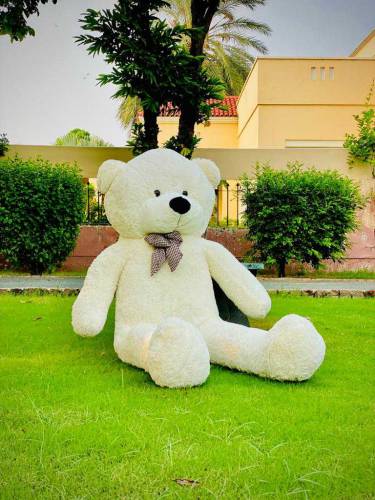 Teddy bear best gift for weeding or birthday 