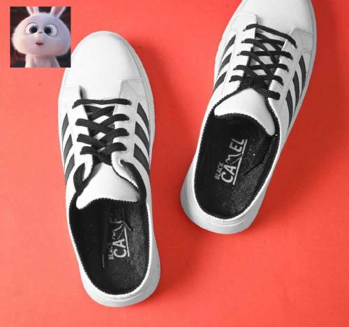 Best Quality Shoes
