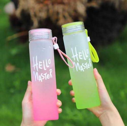 Hello master water bottle 500ml