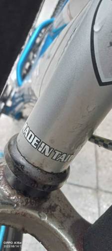Chicago Bicycle