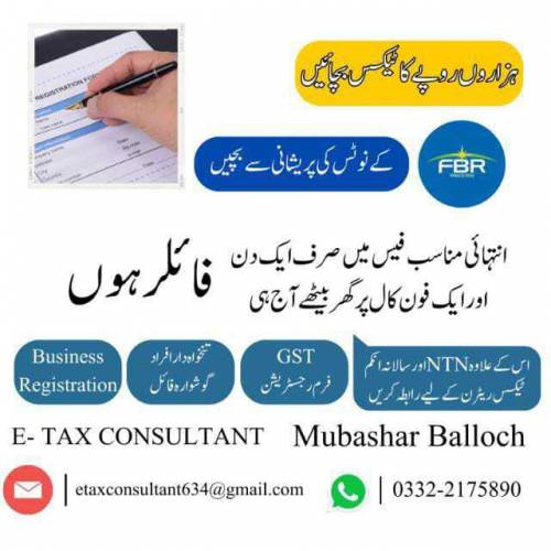 E TAX CONSULTANT 