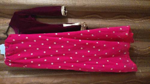 skirt and valvet shirt