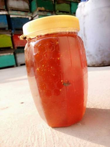 pure beri natural honey